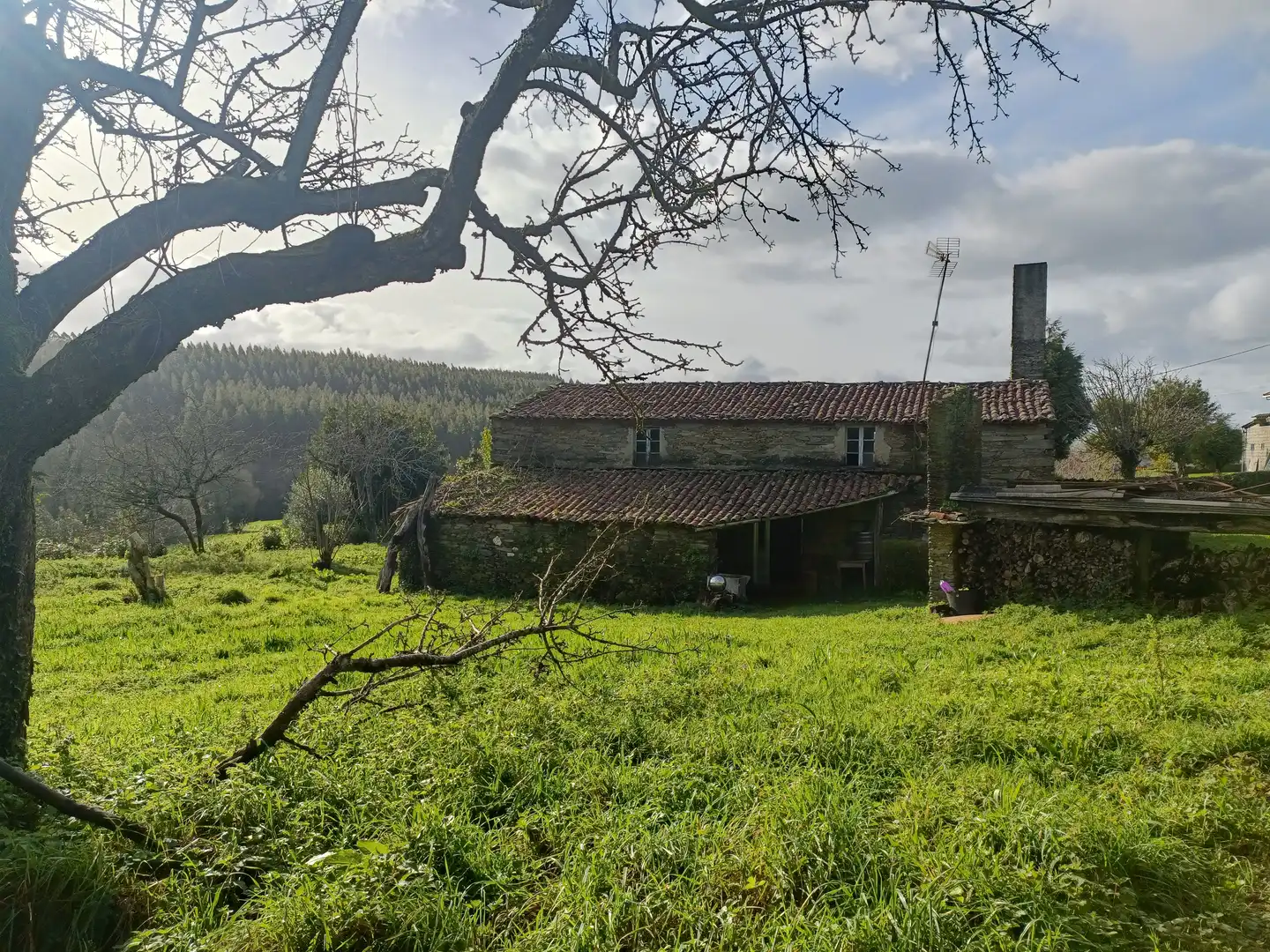 Vista exterior de Casa o xalet en venda en Cesuras amb Jardí privat
