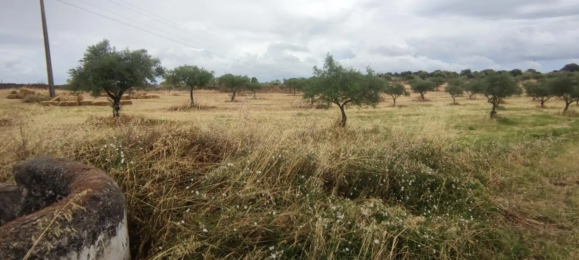 Terreni e lotti in vendita a Garrovillas de Alconétar, imagen 20