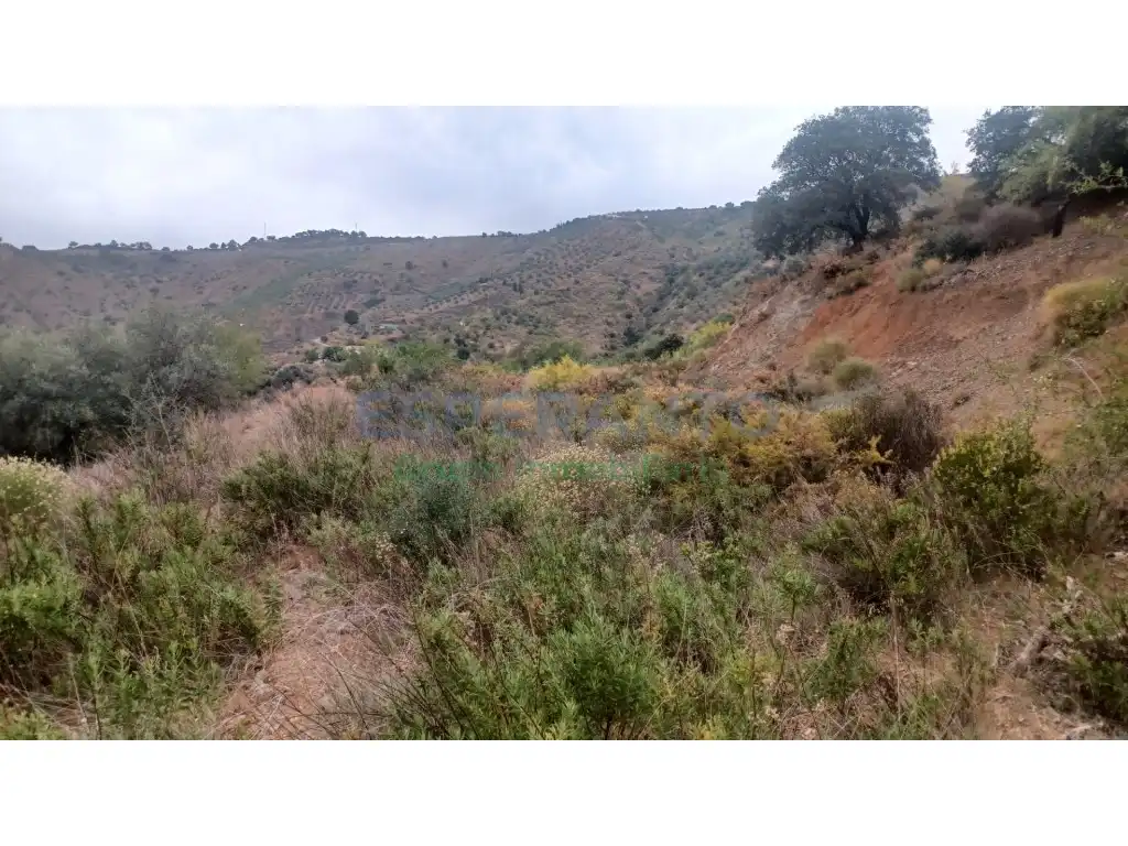 Terrenys i solars en venda a Camino Lagar Brun Bajo, imagen 5