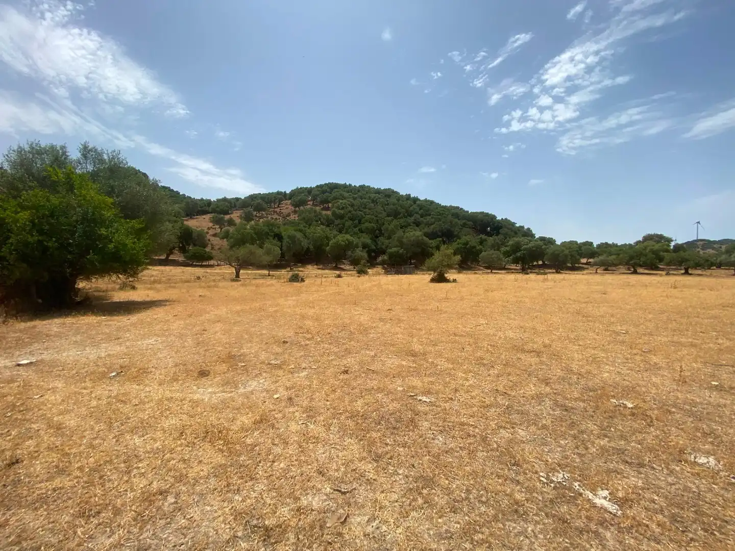 Terreni e lotti in vendita a Alcalá de los Gazules, imagen 69