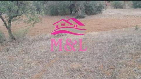 Foto 2 de Finca rústica en venta en Don Álvaro, Badajoz