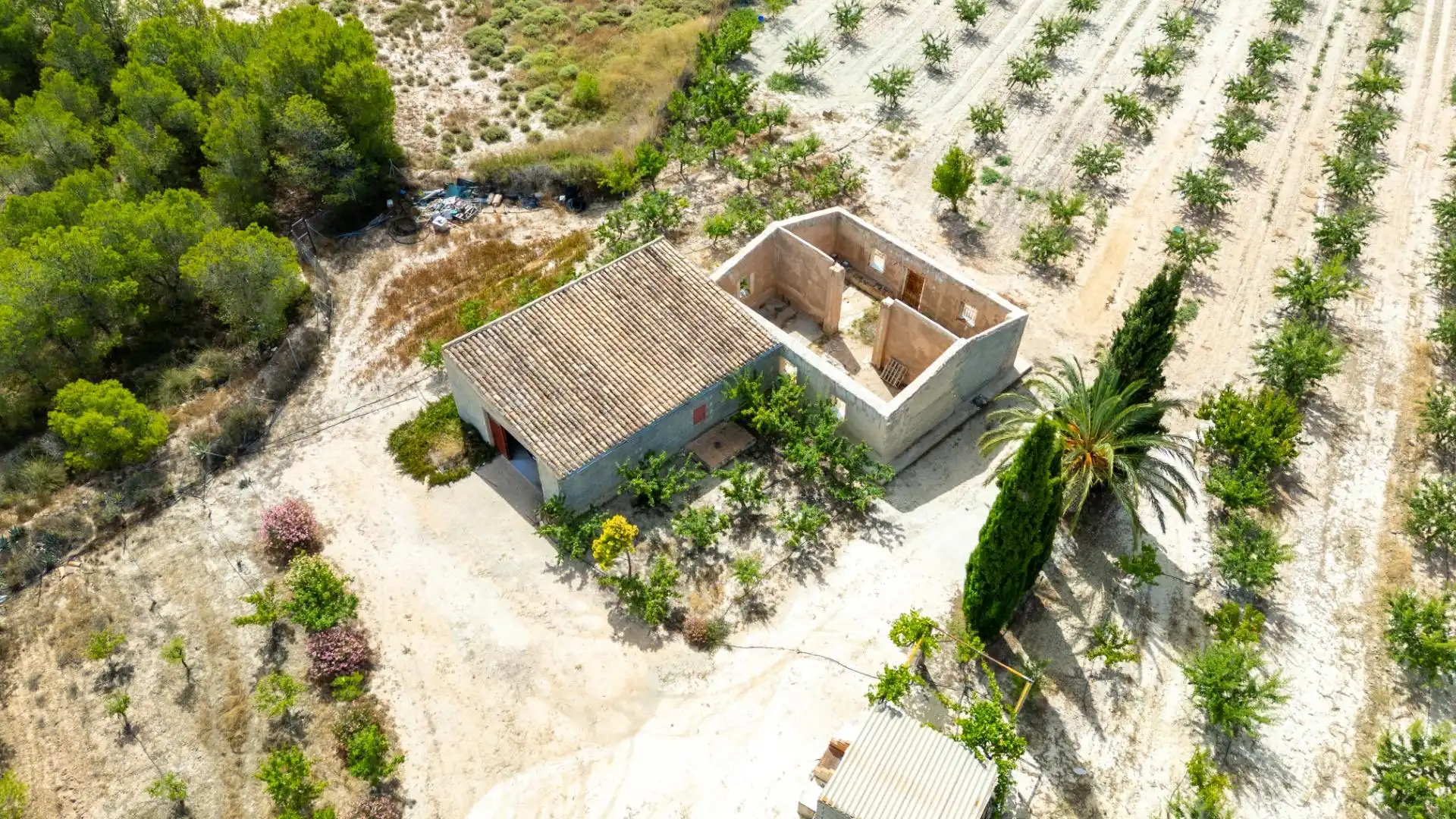 Vista exterior de Casa o xalet en venda en Cieza
