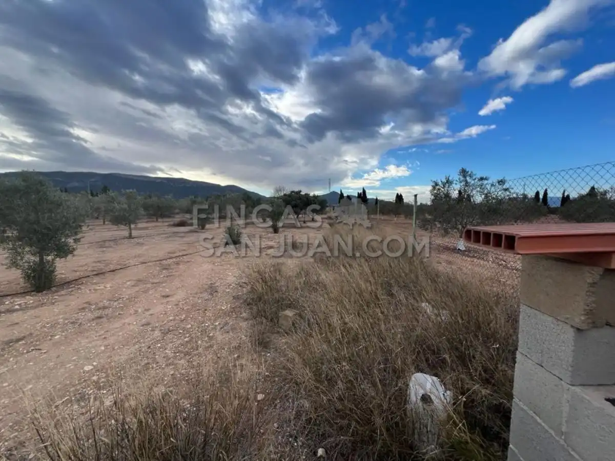 Country homes for sale in Biar