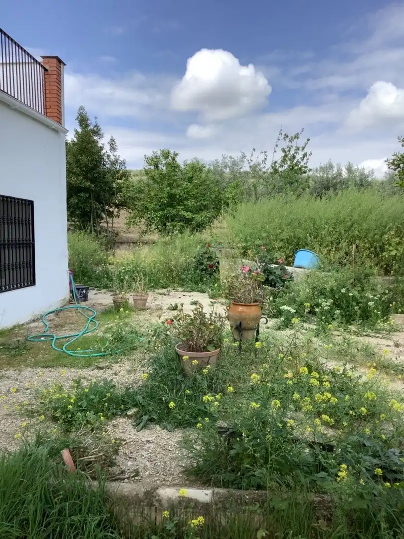 Casa rústica en venta en Montoro, imagen 43