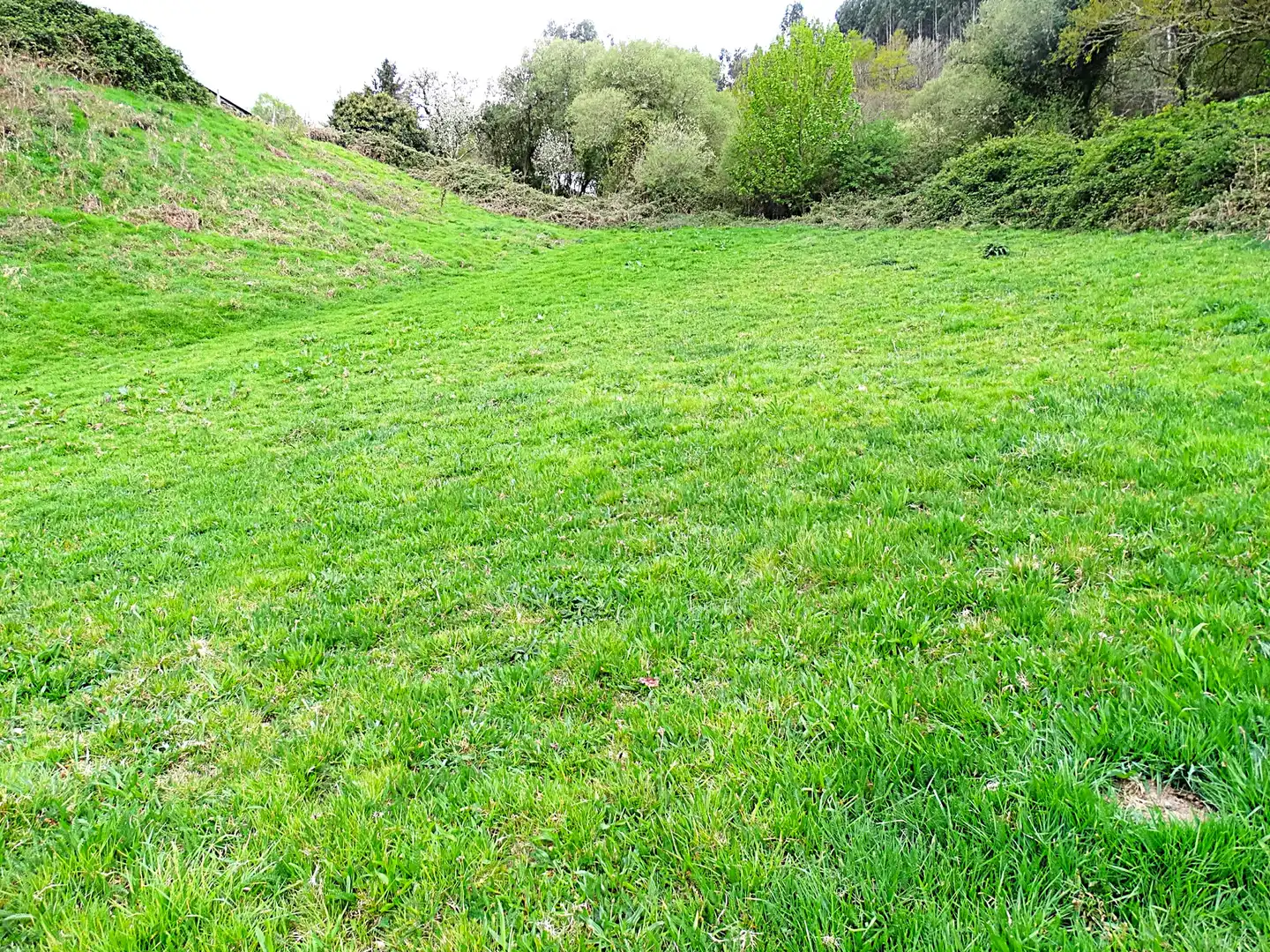 Country homes for sale in Muras