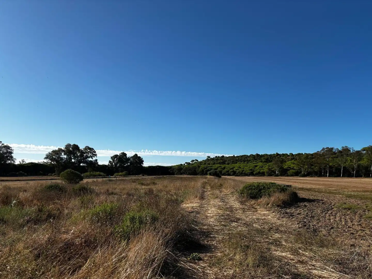 Residential land for sale in Núcleo urbano, imagen 4