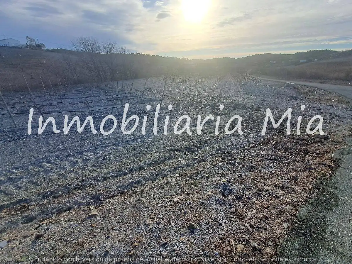Houses for sale in Zarzalico
