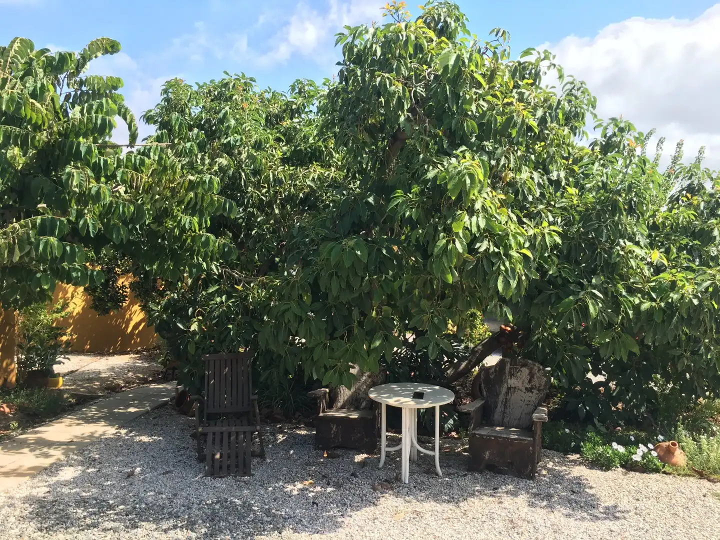Casa rústica en venda a Monte los Almendros - El Pargo - Costa Aguilera, imagen 72