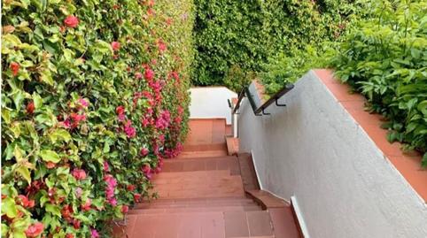 Foto 4 de Casa o chalet en venta en C. Camelias, 4, Pinares de San Antón, Málaga Capital