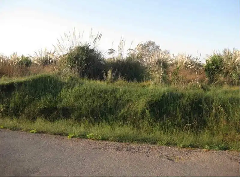 Terreny residencial en venda a Polígono 3, imagen 9