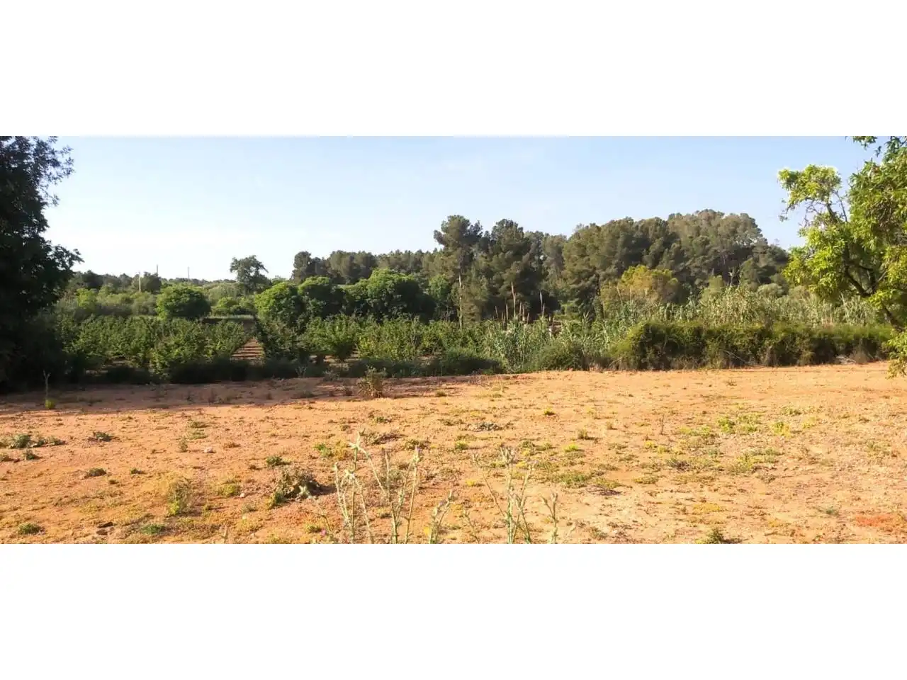Terreny rústic en venda a Poligono 16, imagen 11