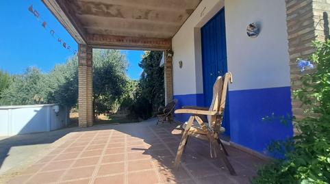 Foto 4 de Finca rústica en venta en Pilas, Sevilla