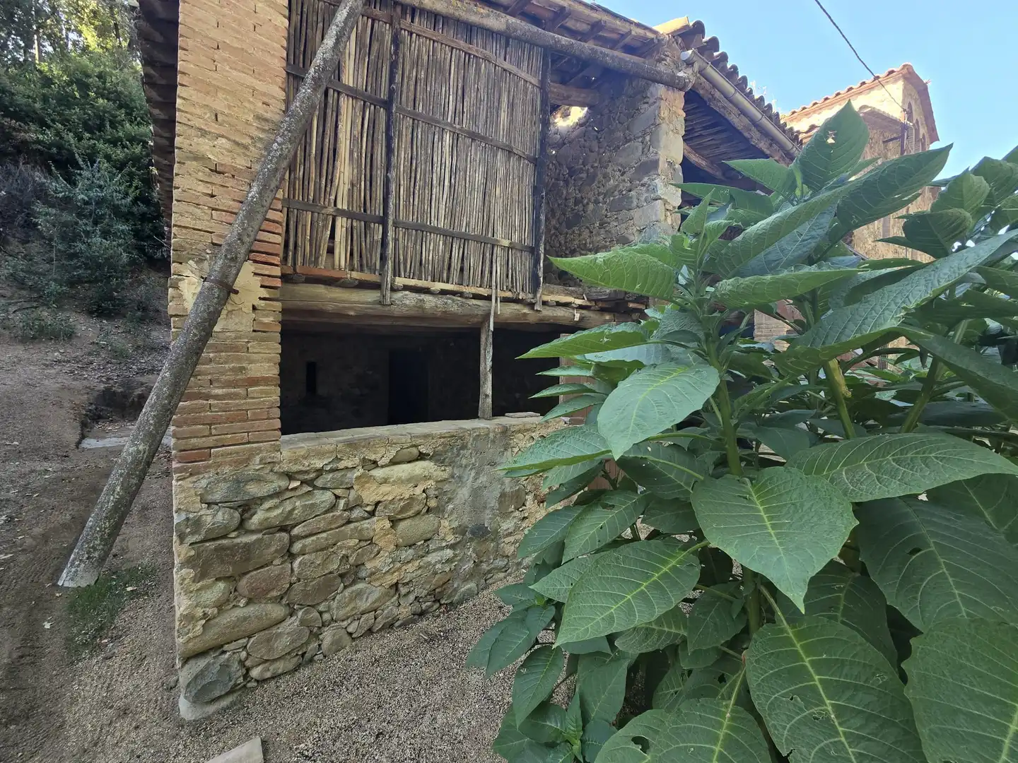 Casa rustica in vendita a Sant Gregori, imagen 21