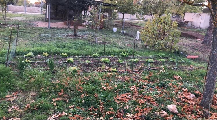 Casa o chalet en venta en Villar de Cañas con Calefacción, Jardín privado y Amueblado