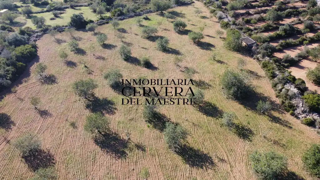 Terreno rustico in vendita a Cervera del Maestre, imagen 13