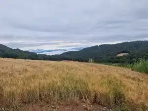 Fabrikhallen zum Verkauf in Santa Maria d'Oló mit Alarm
