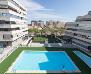 Swimming pool of Flat to rent in Elche / Elx  with Air Conditioner, Heating and Private garden