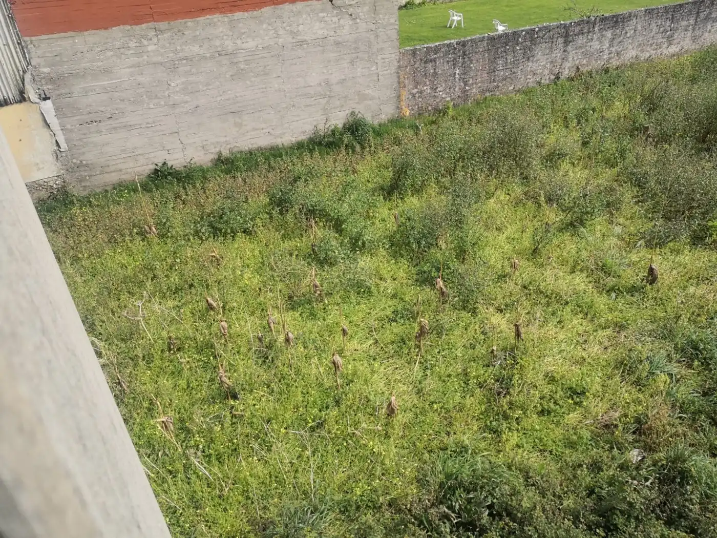 Casa en venda a Malpica de Bergantiños, imagen 10