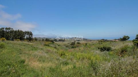 Photo 4 of Land for sale in El Chorrillo - San Isidro  - Llano Blanco, El Rosario