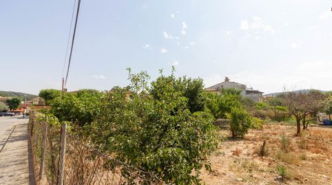 Terreno, immagine 4