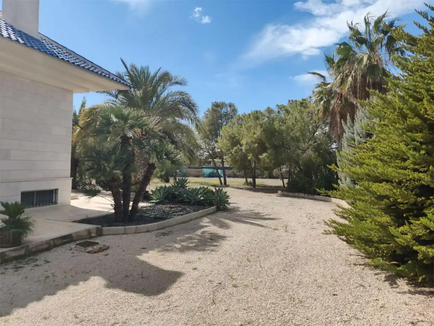 Jardí de Pis en venda en Crevillent amb Jardí privat, Traster i Piscina