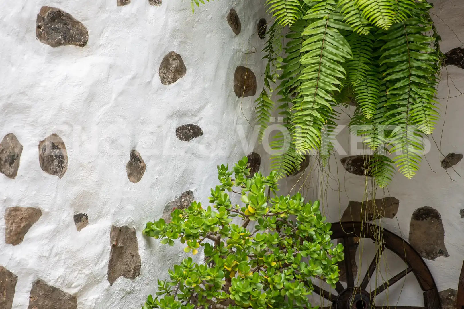 Vista exterior de Casa o chalet de alquiler en Las Palmas de Gran Canaria con Calefacción, Terraza y Amueblado