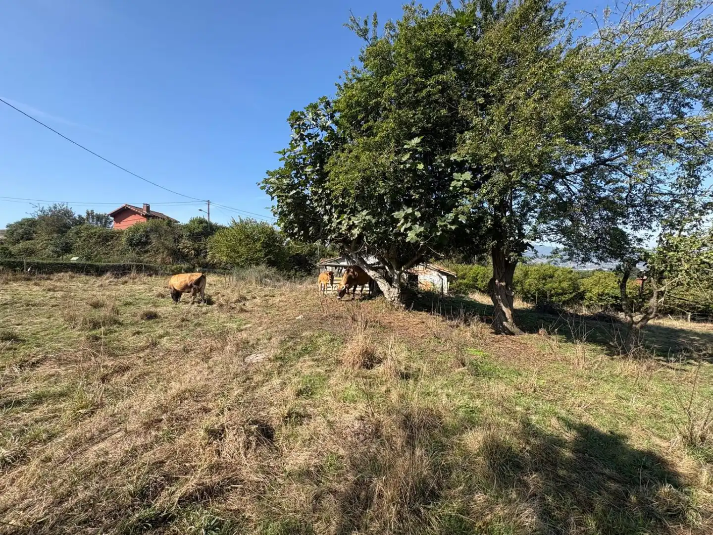 Casa en venta en Viella - Granda - Meres, imagen 13