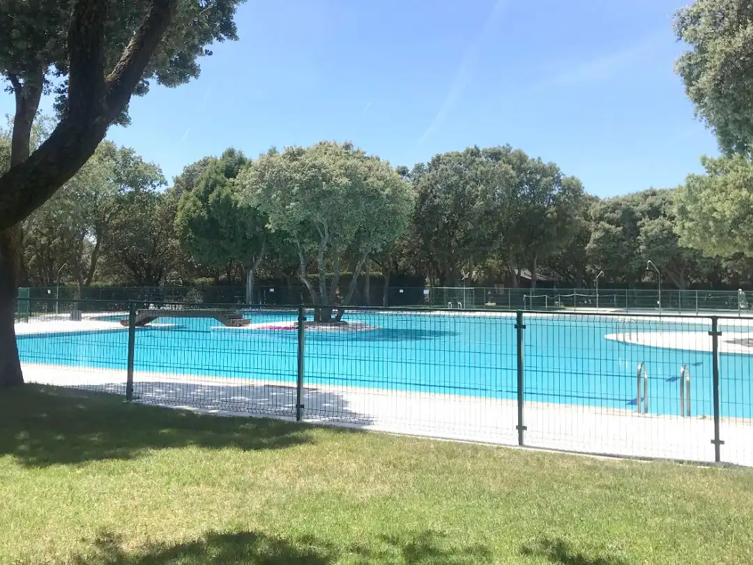 Swimming pool of Houses for sale in Lerma, Burgos