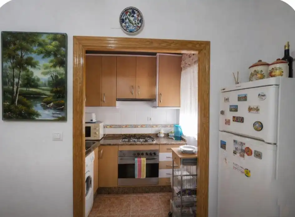 Apartments for rent in Centro