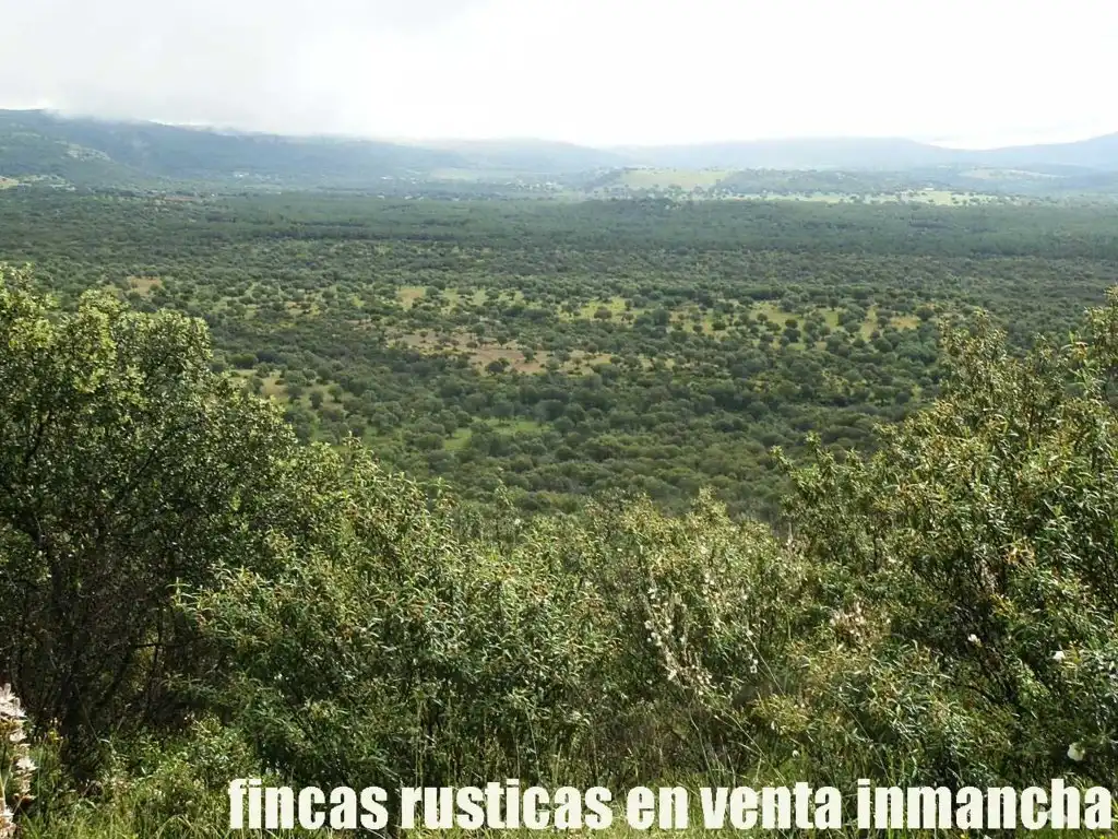 Terreno rústico en venta en Abenójar, imagen 14