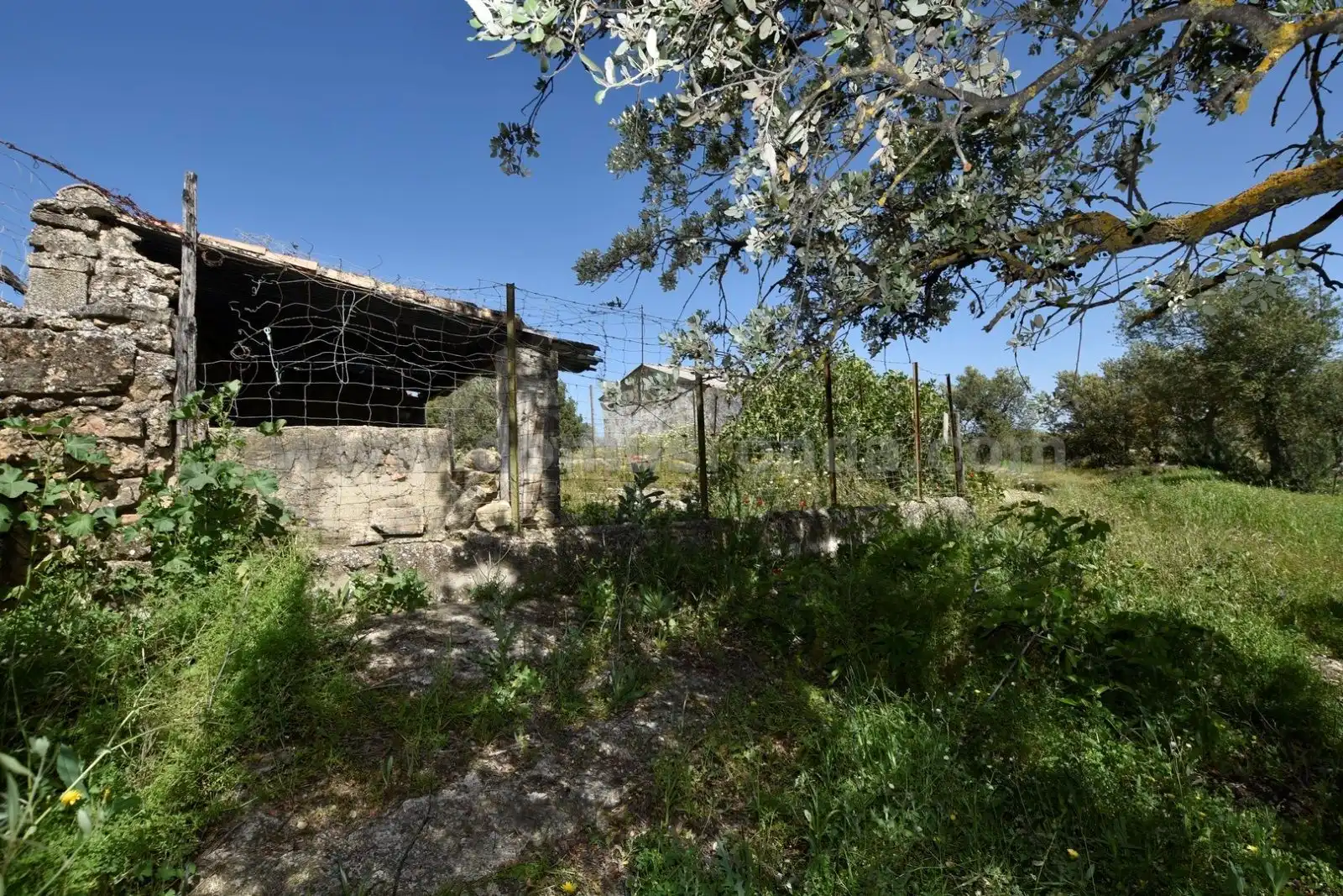 Finca rústica en venda en Ronda