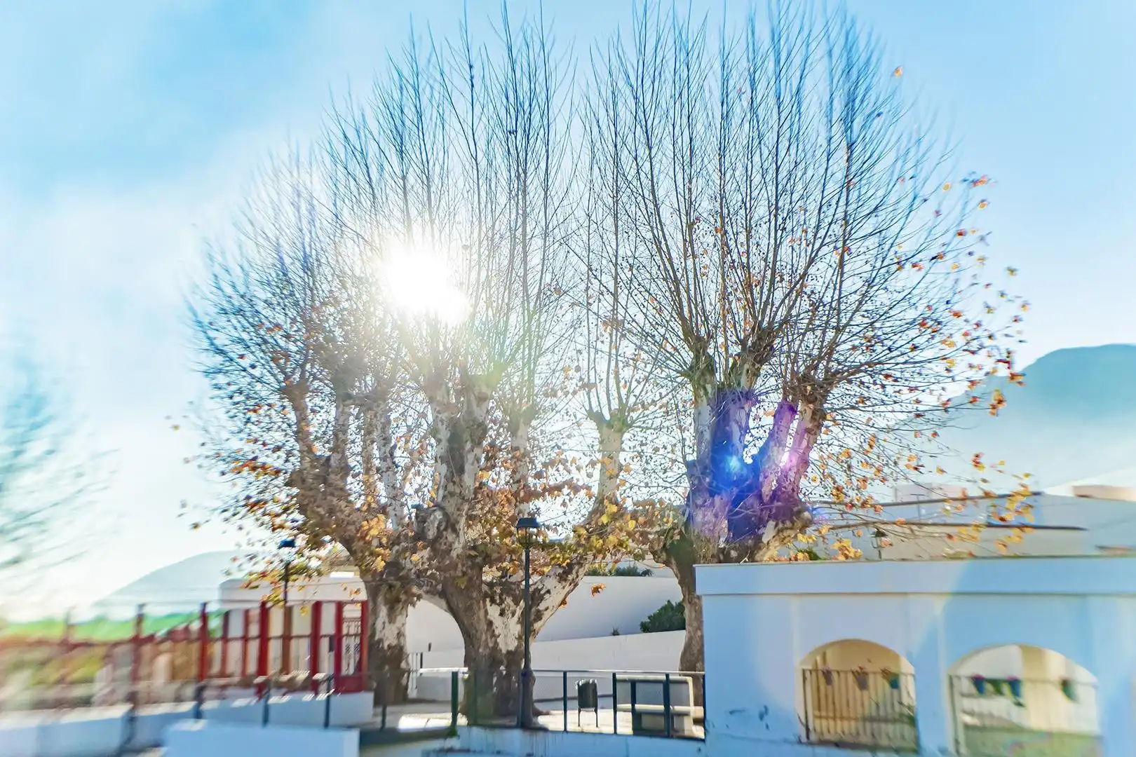 Maison rustique à vendre à Íllar, imagen 37