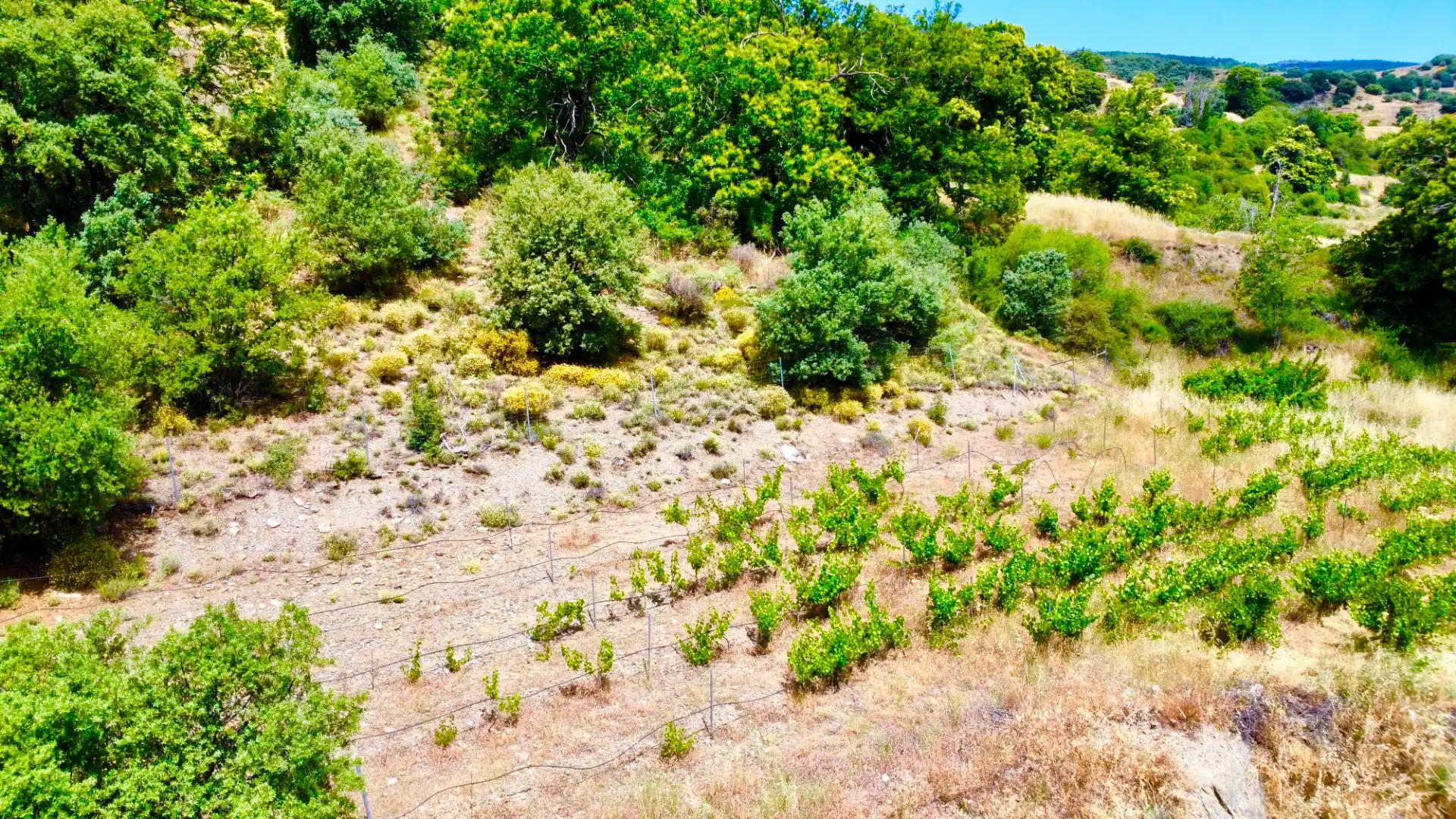Terreni e lotti in vendita a Alpujarra de la Sierra, imagen 41
