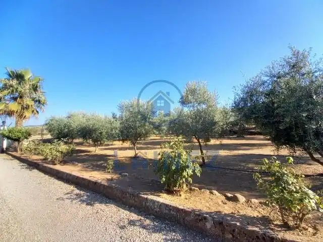 Terreny residencial en venda a Belmez, imagen 80