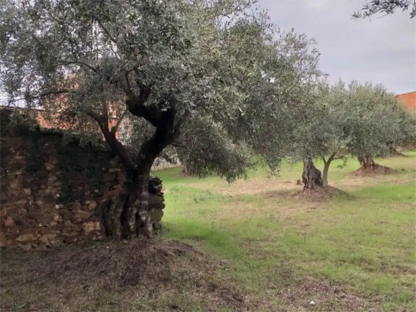 Piso en venta en Aldeanueva de San Bartolomé
