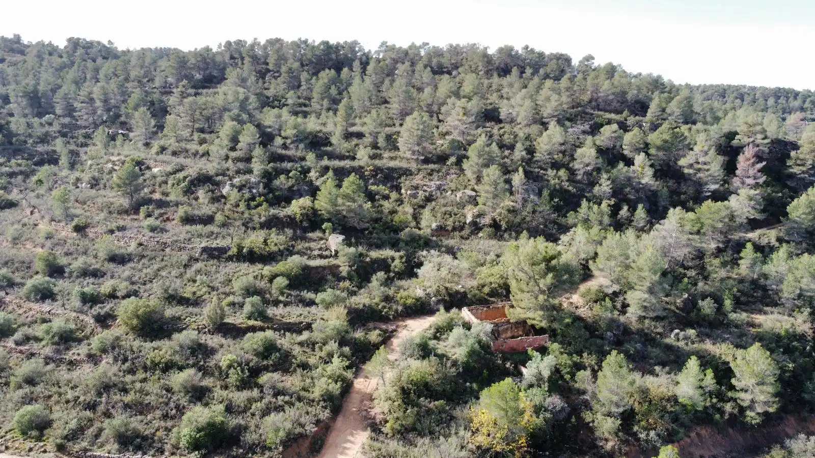 Terreno rustico in vendita a Cervià de Les Garrigues, imagen 5