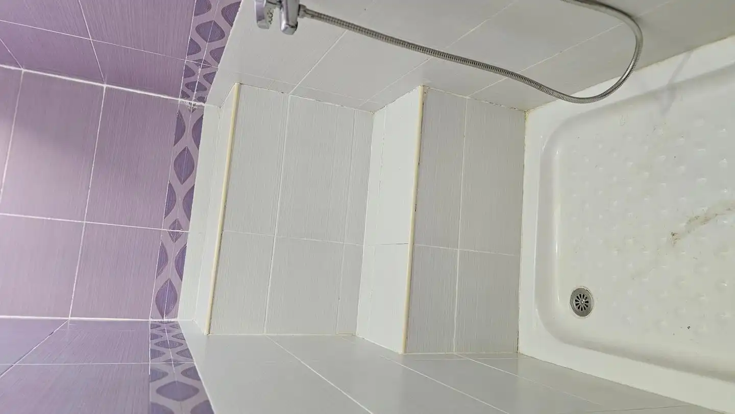 Bany de Casa o xalet en venda en Santa Lucía de Tirajana amb Jardí privat, Terrassa i Piscina
