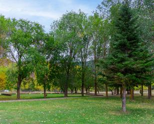 Jardí de Casa o xalet en venda en Camarena de la Sierra