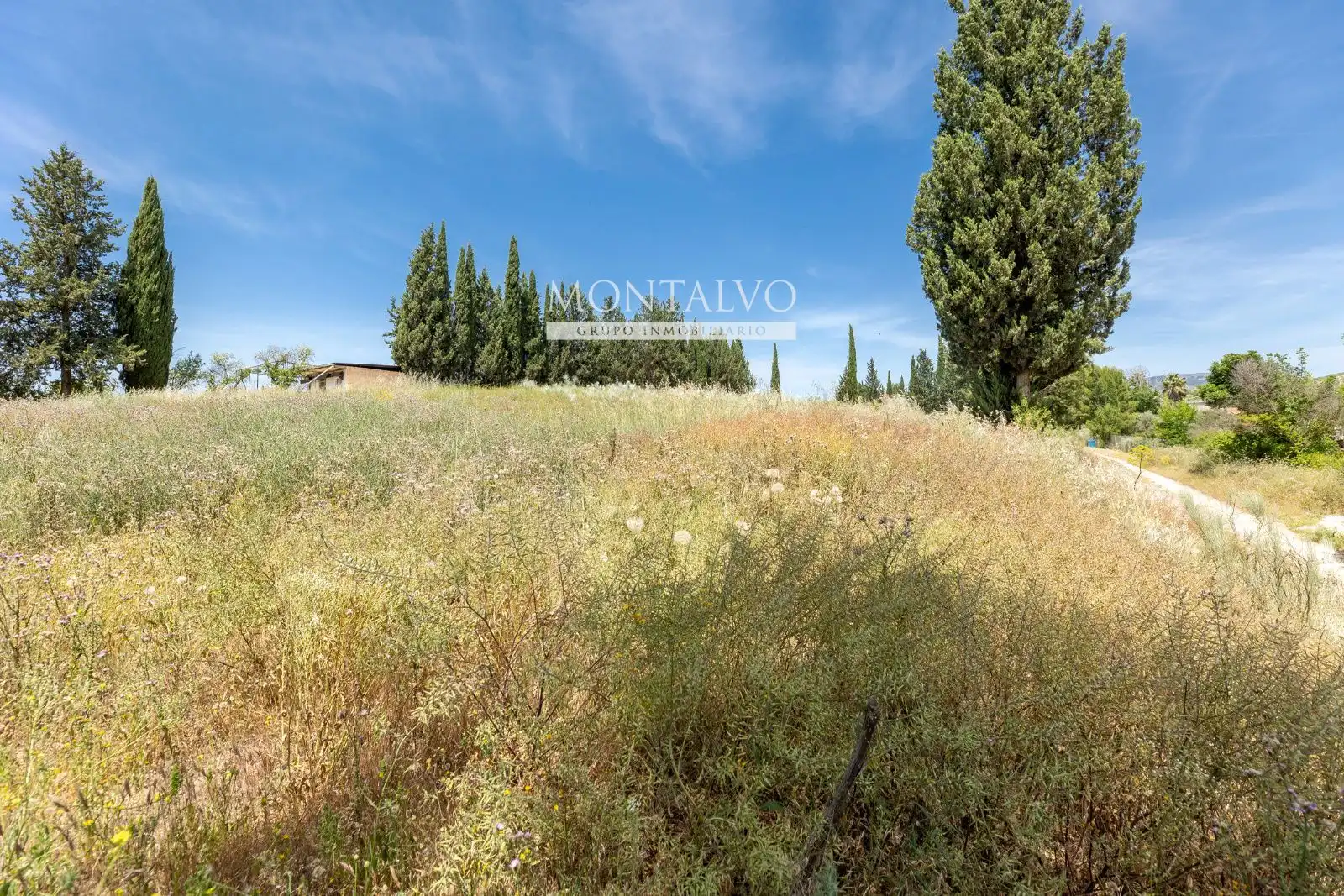Land for sale in Pinos Puente