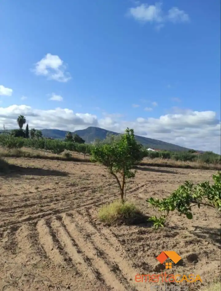 Terreni e lotti in vendita a Oeste, imagen 8