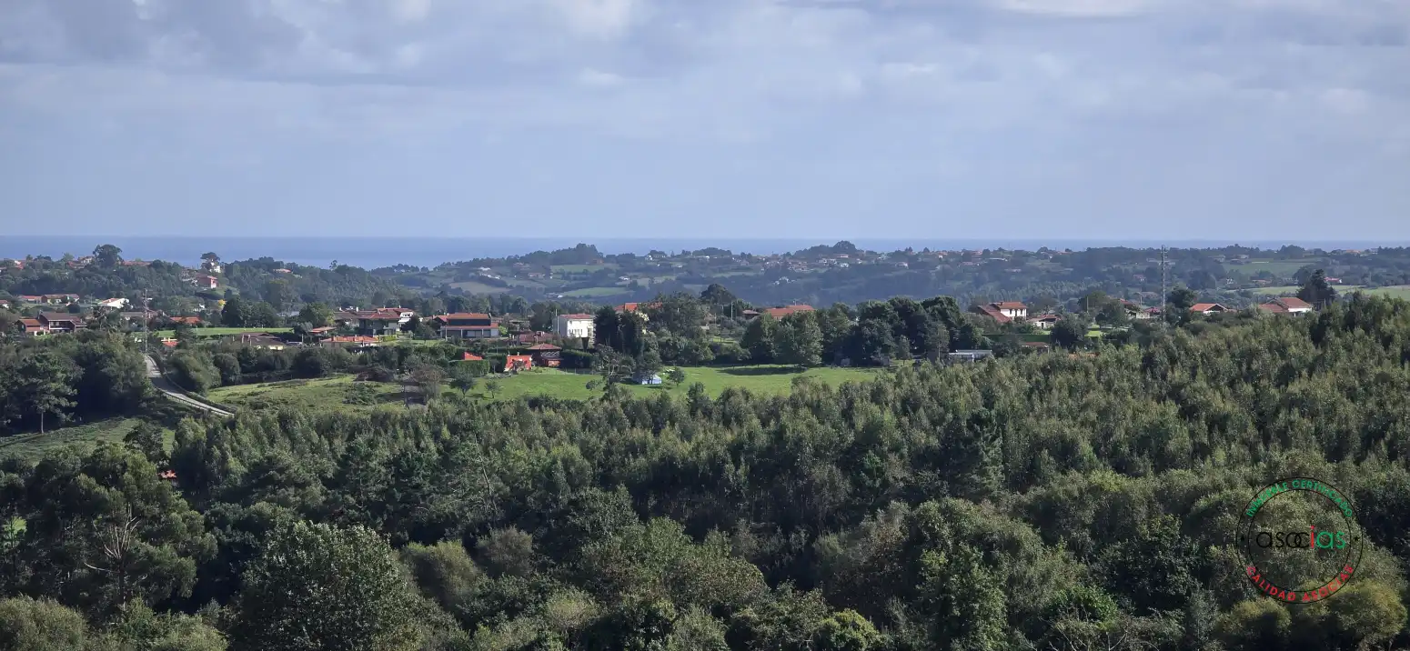 Terreny residencial en venda a Peón - Coto de la Castañera, Curviellu S/N, imagen 15