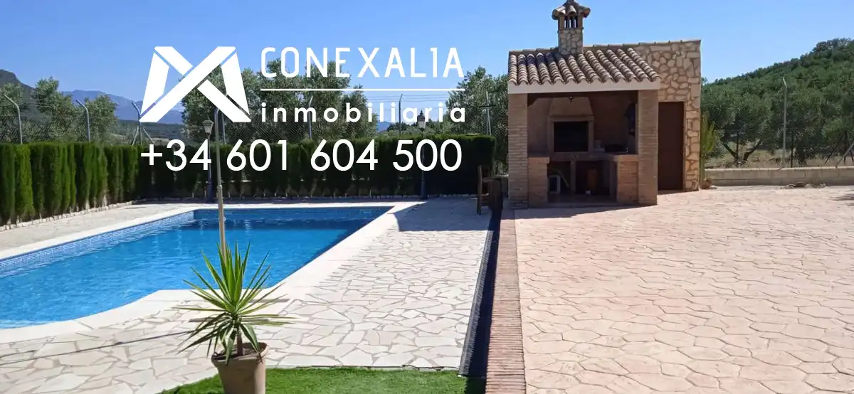 Vista exterior de Finca rústica en venta en Algodonales con Piscina