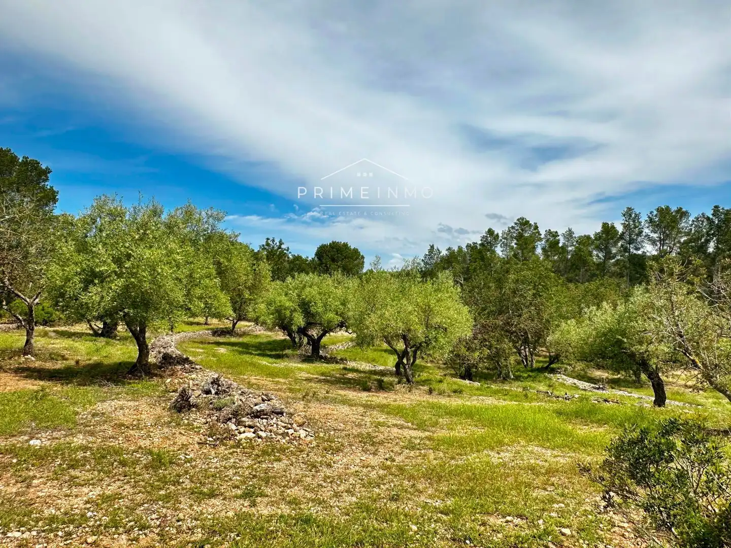 Terreno rústico en venta en Tivissa, imagen 70