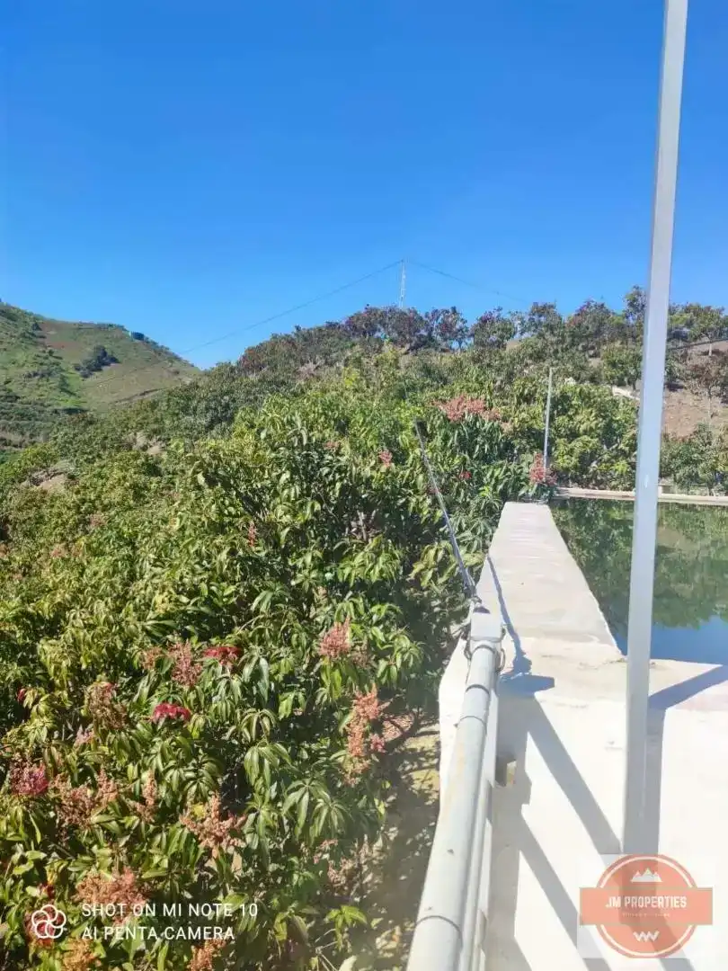 Vista exterior de Terreno en venta en Almáchar, Málaga
