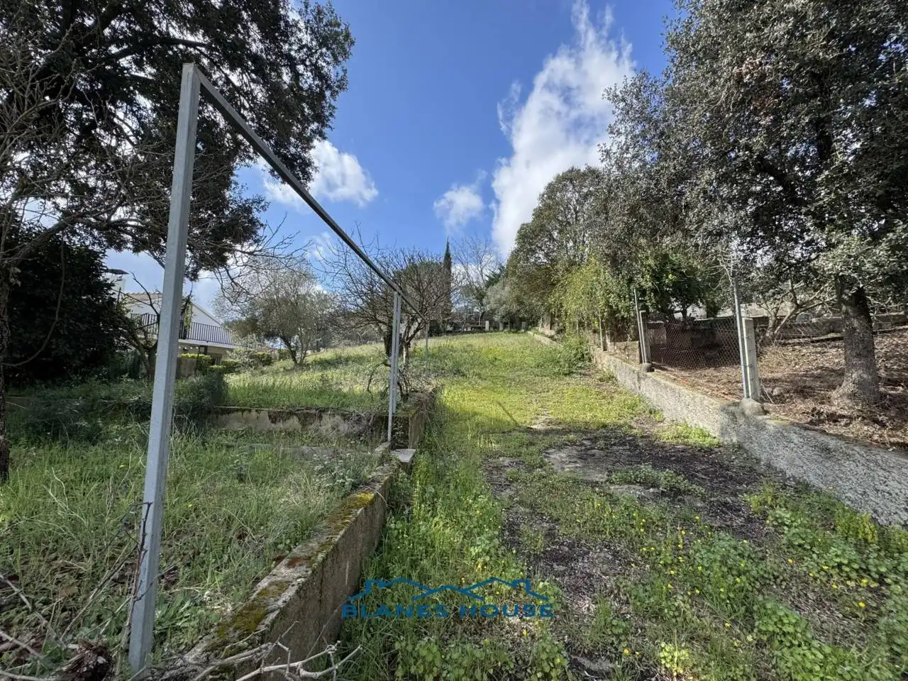 House with garden for sale in Calle Arbres 0´, imagen 5
