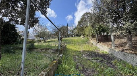 Foto 5 de Casa o chalet en venta en Arbres, 0´, Residencial Park, Maçanet de la Selva