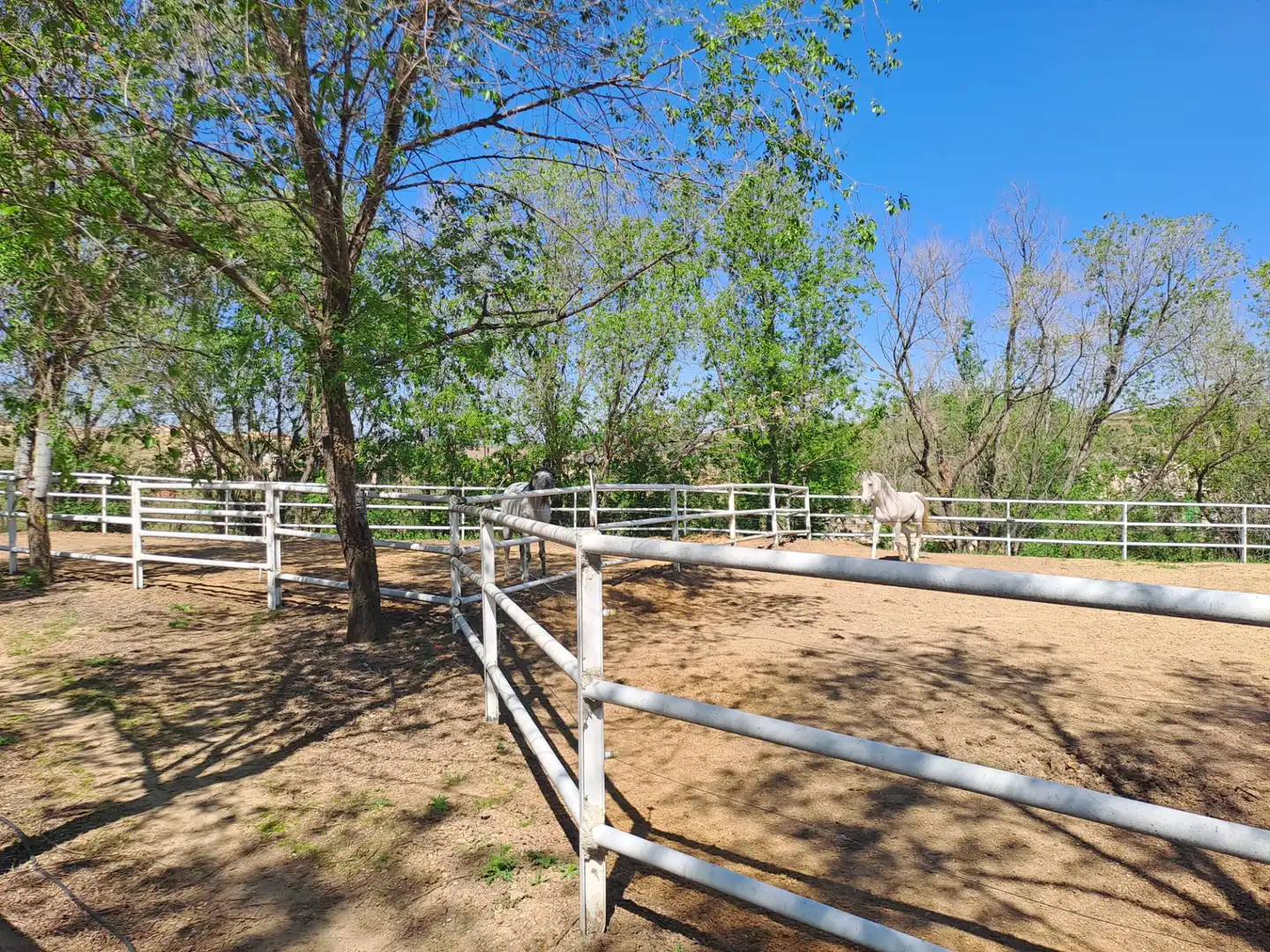 Terreny residencial en venda a Griñón, imagen 30