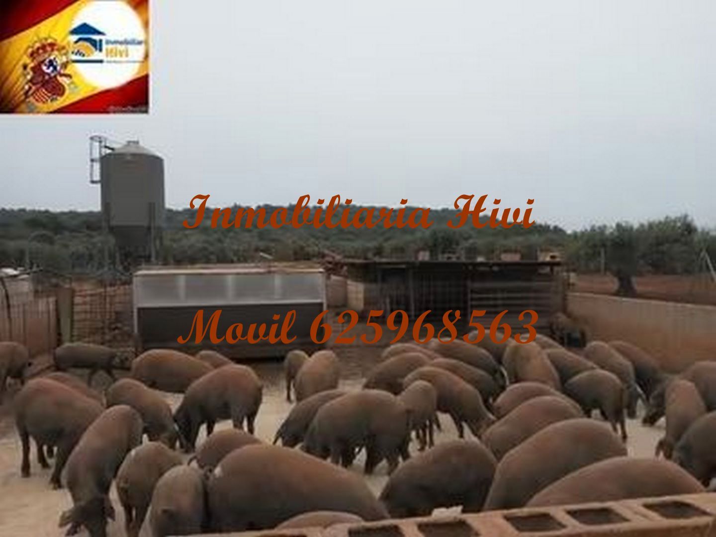 Nau industrial en venda a Almendral