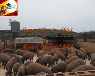 Nau industrial en venda a Almendral