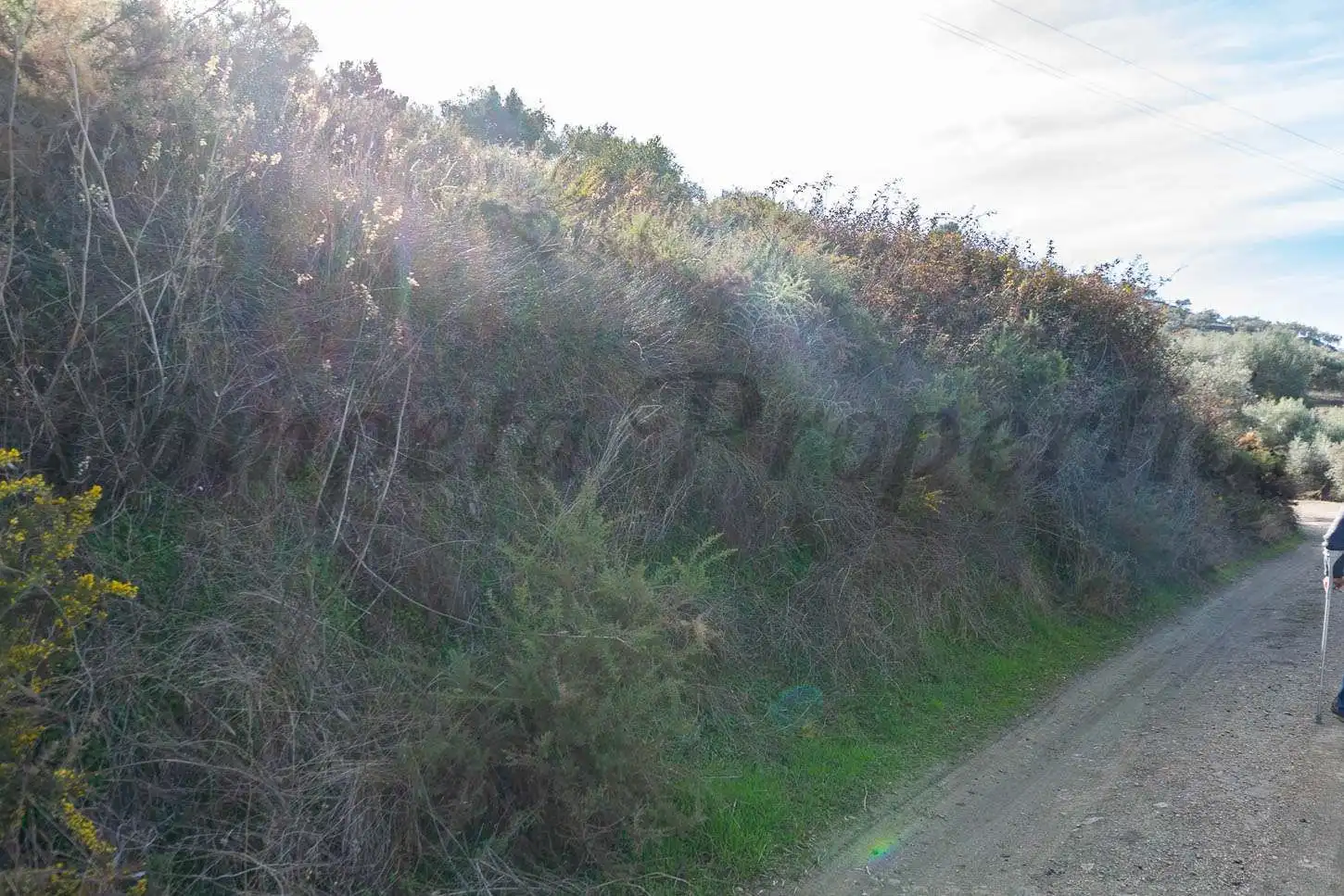 Rustikales Grundstück zum Verkauf in Torrox Pueblo, imagen 6